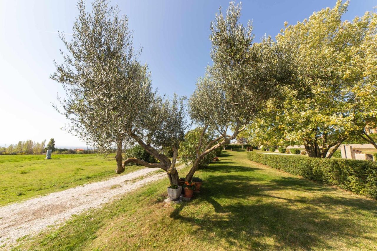 Agriturismo Bella Cima モンテフィアスコーネ エクステリア 写真