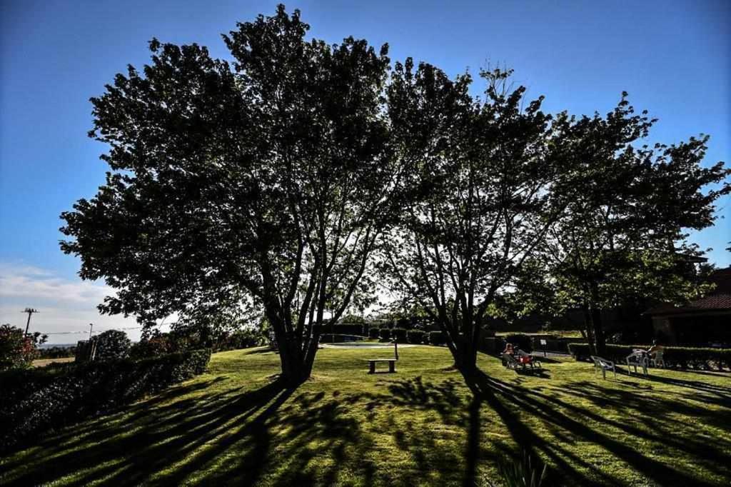 Agriturismo Bella Cima モンテフィアスコーネ エクステリア 写真